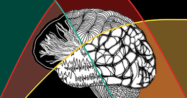 New Publication in Developmental Cognitive Neuroscience